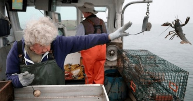 Cụ bà 101 tuổi ném tôm hùm Cụ bà đang ném tôm hùm